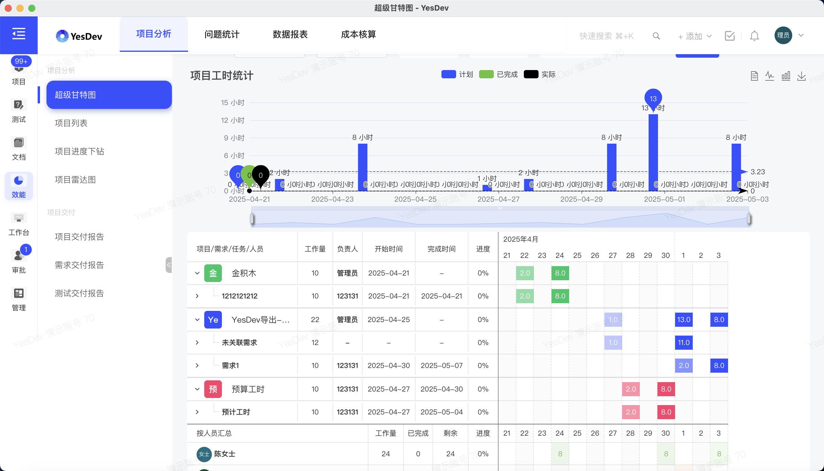 项目报告